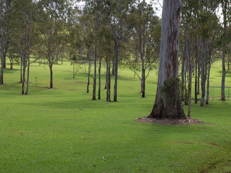 Dyers Crossing NSW 2429