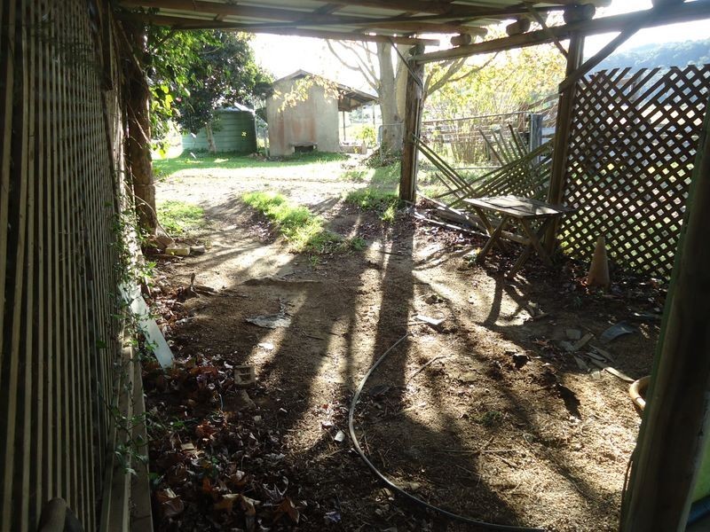 880 Hannam Vale Road, Hannam Vale NSW 2443