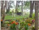 167 Marchfield Road, Wingham NSW 2429