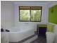 167 Marchfield Road, Wingham NSW 2429