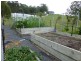167 Marchfield Road, Wingham NSW 2429