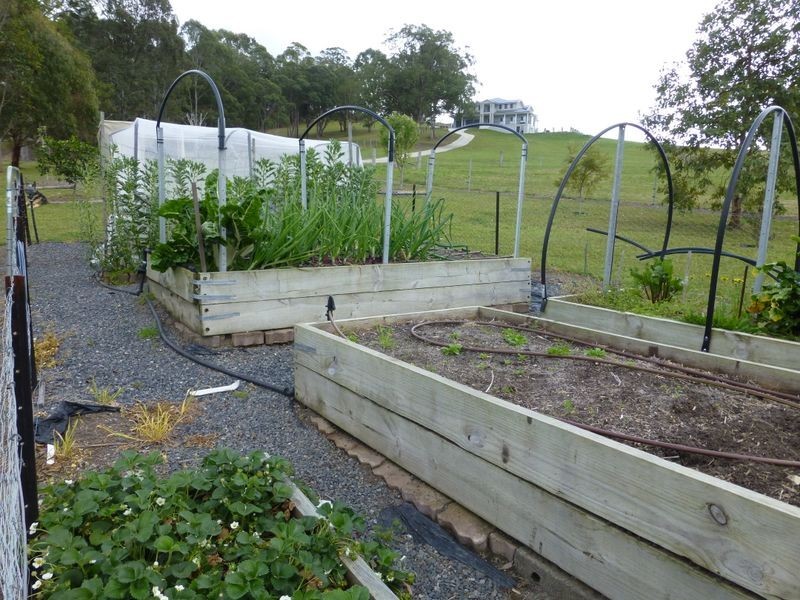 167 Marchfield Road, Wingham NSW 2429