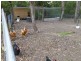 167 Marchfield Road, Wingham NSW 2429