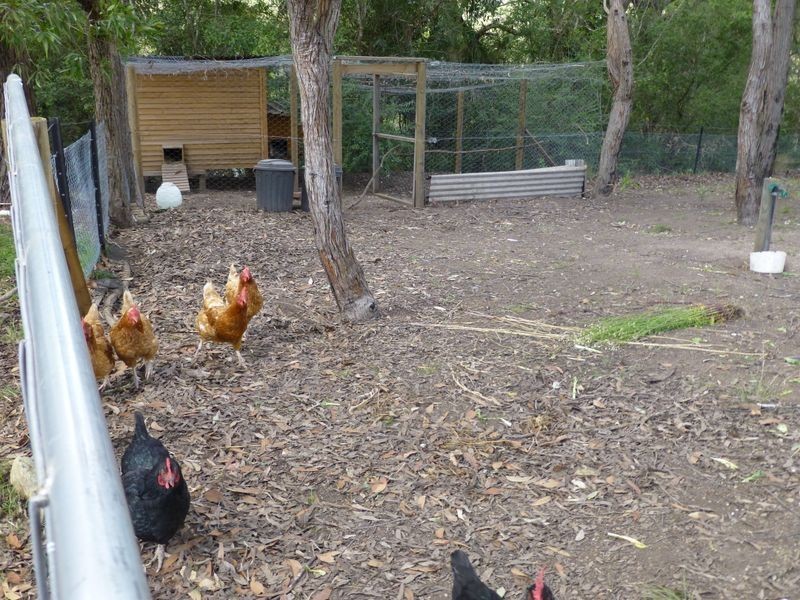 167 Marchfield Road, Wingham NSW 2429