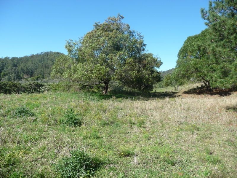 Hannam Vale NSW 2443