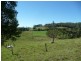 Hannam Vale NSW 2443