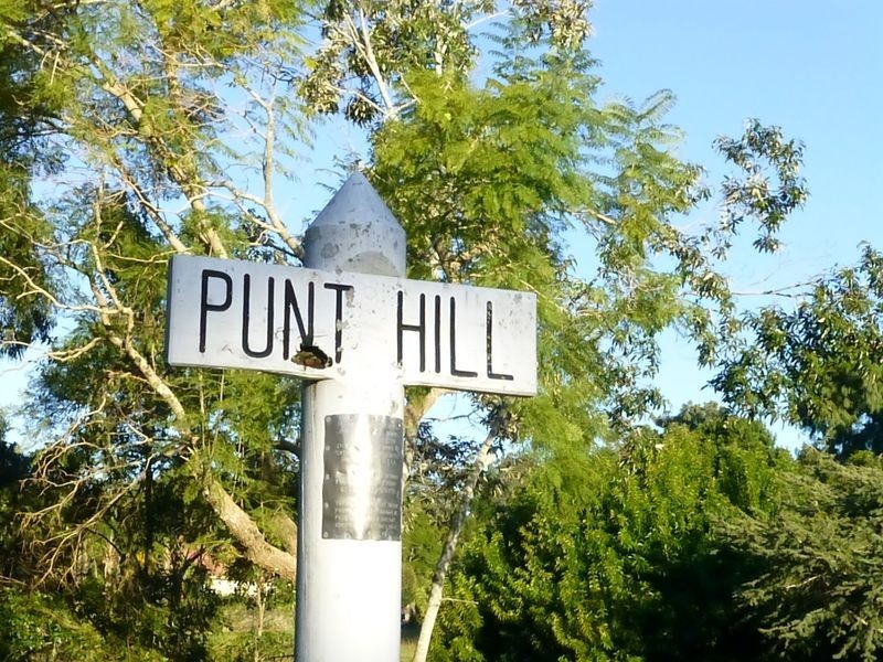 12 Cotton Street, Tinonee NSW 2430