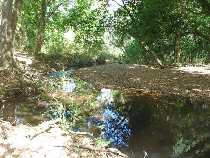 Upper Lansdowne NSW 2430