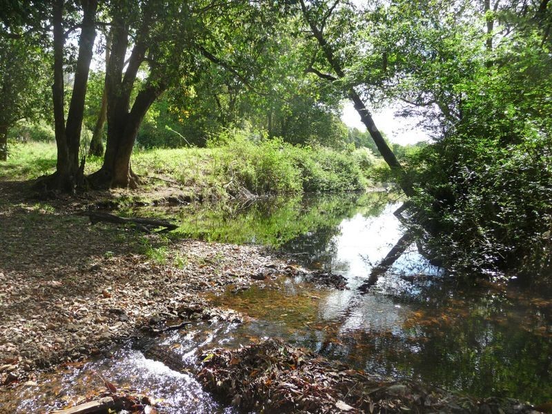 Upper Lansdowne NSW 2430