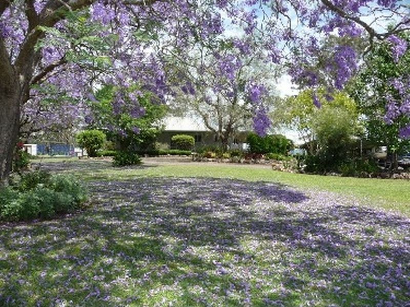 6 Summerland Place, Wingham NSW 2429