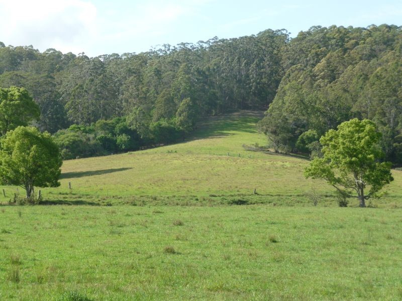 Hannam Vale NSW 2443