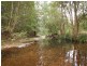 Wingham NSW 2429