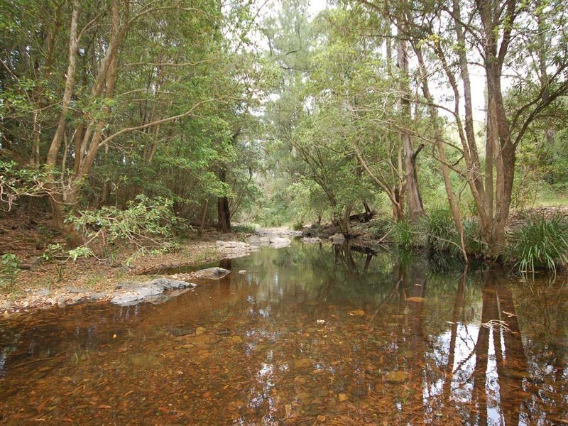 Wingham NSW 2429
