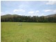 Wingham NSW 2429