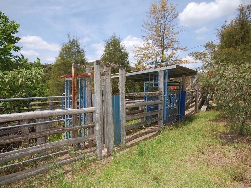 Wingham NSW 2429