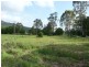 Moorland NSW 2443