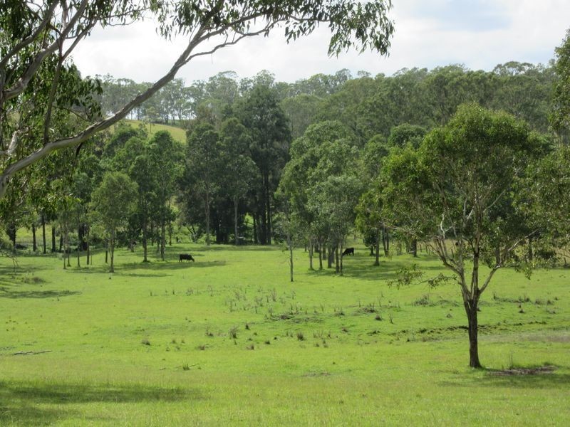 87 Butchers Creek Road, Wherrol Flat NSW 2429