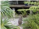 Coralville NSW 2443