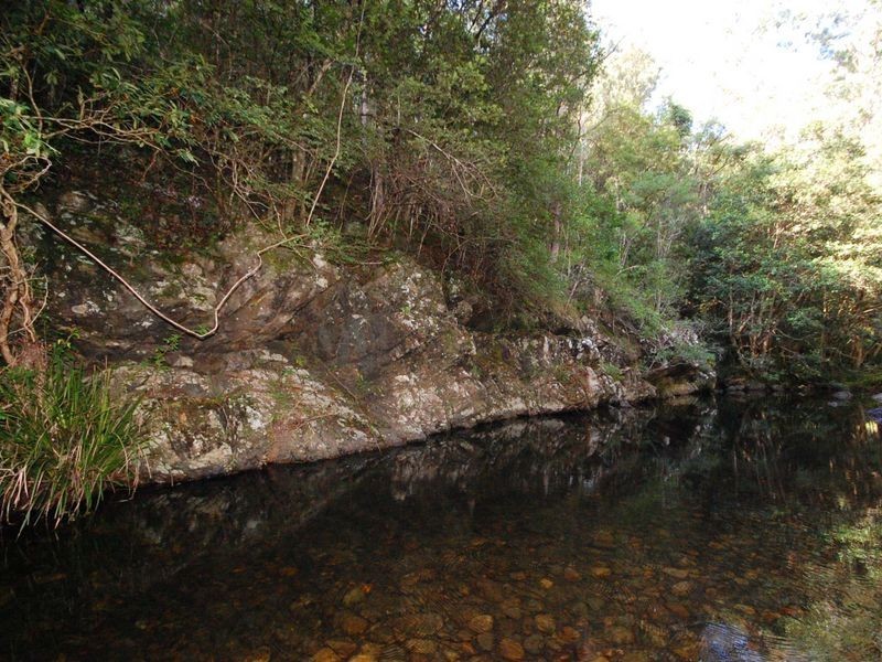 126 Hobbits Way, Wingham NSW 2429