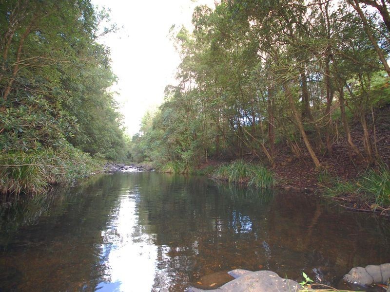 126 Hobbits Way, Wingham NSW 2429