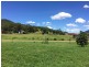 1535 Nowendoc Road, Mount George NSW 2424