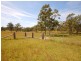 3568 Wallanbah Road, Nabiac NSW 2312