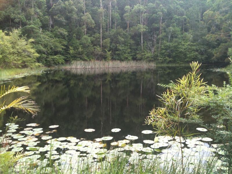 649 Hannam Vale Road, Stewarts River NSW 2443