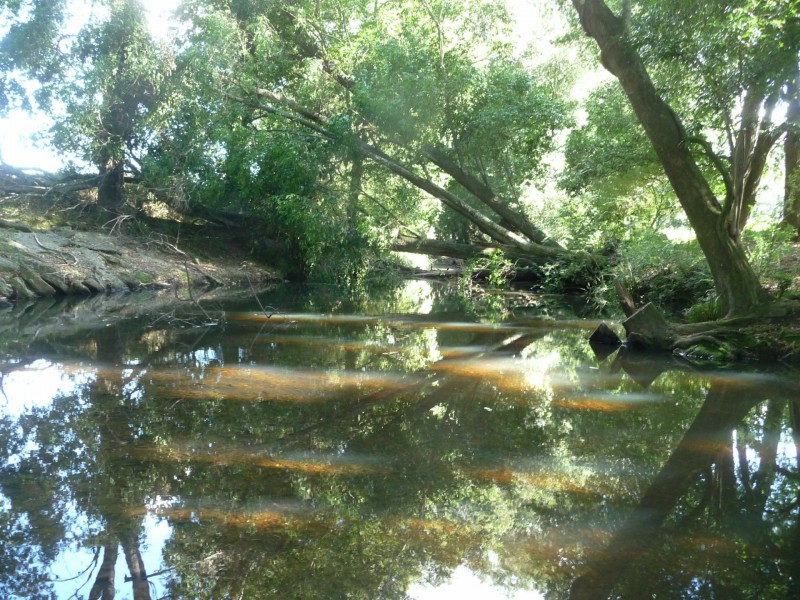 511 Central Lansdowne Road, Lansdowne NSW 2430