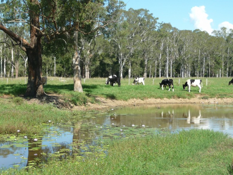 511 Central Lansdowne Road, Lansdowne NSW 2430