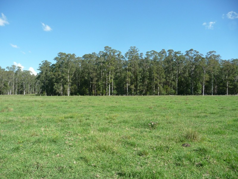 511 Central Lansdowne Road, Lansdowne NSW 2430