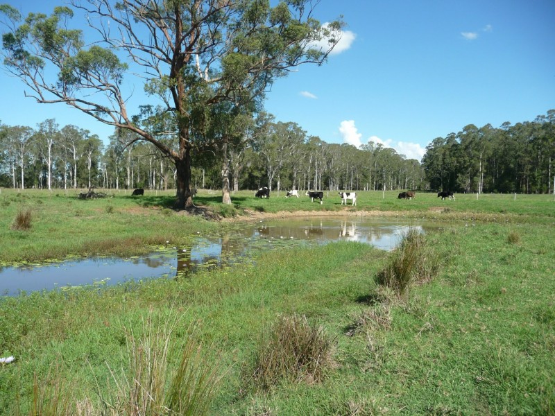511 Central Lansdowne Road, Lansdowne NSW 2430