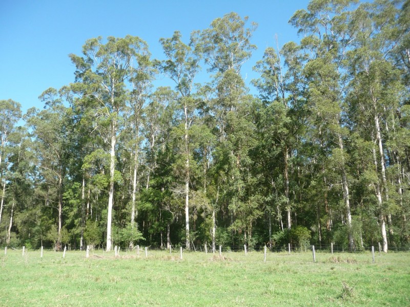 511 Central Lansdowne Road, Lansdowne NSW 2430