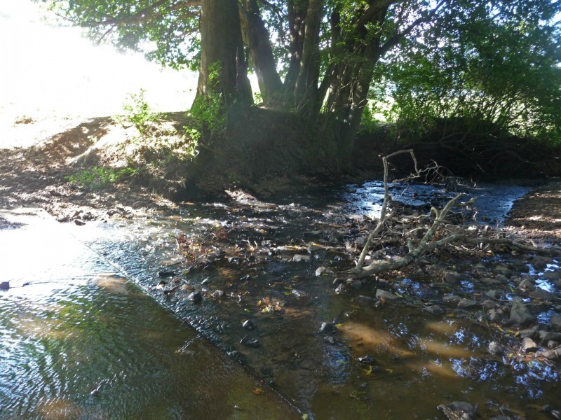 511 Central Lansdowne Road, Lansdowne NSW 2430