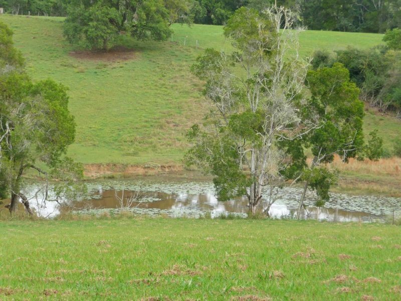 Hannam Vale NSW 2443