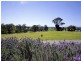 Tinonee NSW 2430