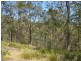 Bulga Forest NSW 2429