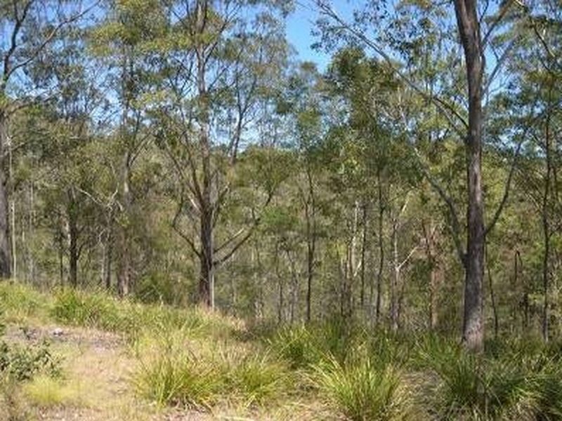 Bulga Forest NSW 2429