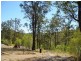 Bulga Forest NSW 2429