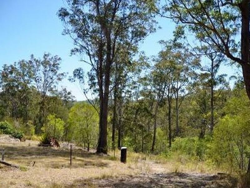 Bulga Forest NSW 2429