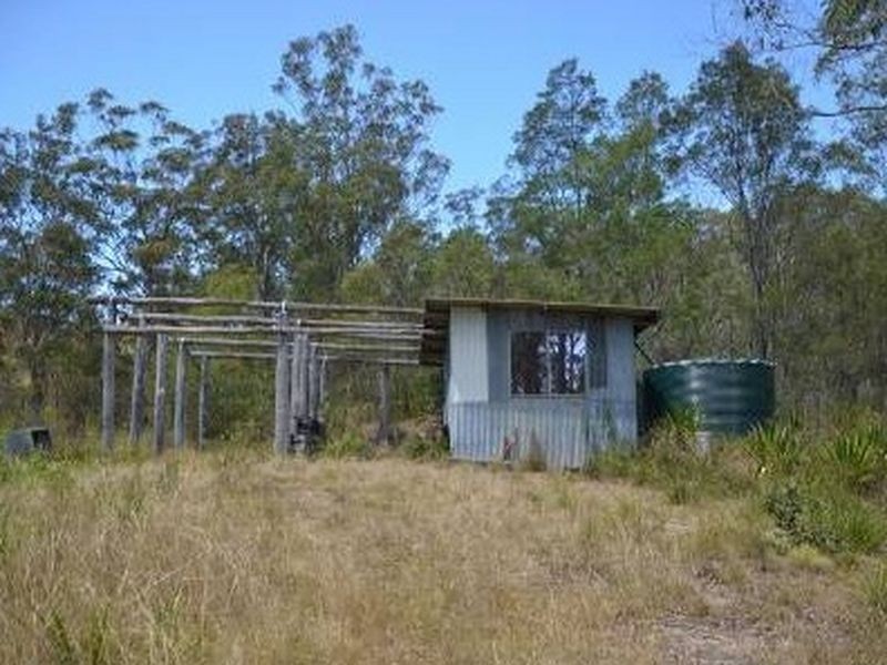 Bulga Forest NSW 2429