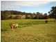 Tinonee NSW 2430