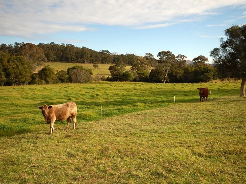 Tinonee NSW 2430