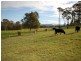 Tinonee NSW 2430