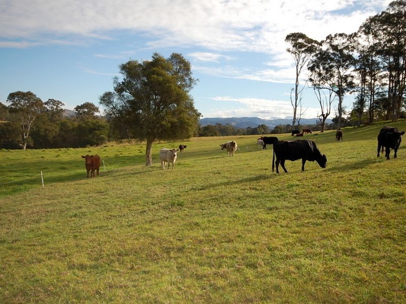 Tinonee NSW 2430