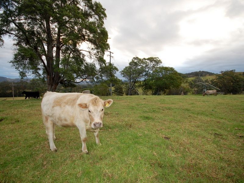 Tinonee NSW 2430