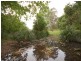 Wingham NSW 2429