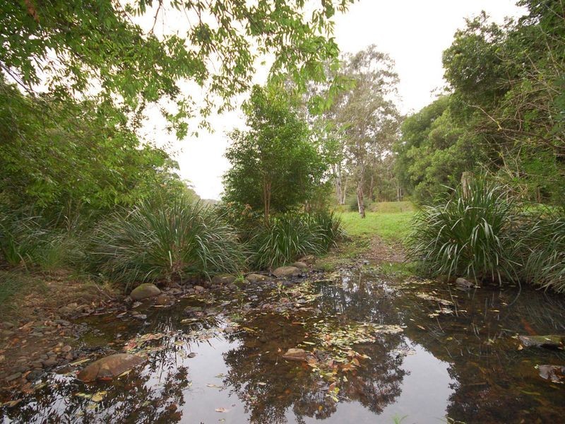 Wingham NSW 2429