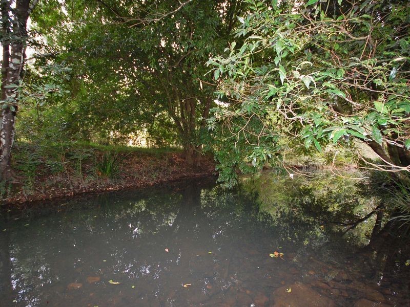 Wingham NSW 2429