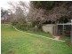 Wingham NSW 2429