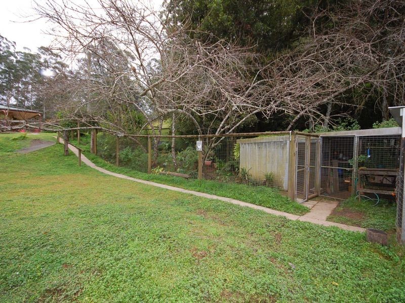 Wingham NSW 2429